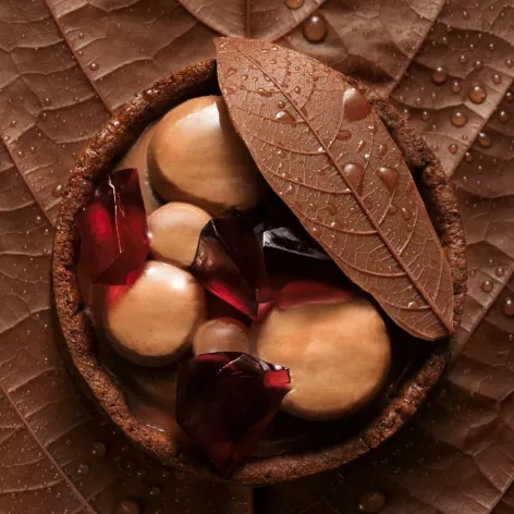 Chocolate tart with a leaf-textured Valrhona Amatika 46% chocolate cover, cream domes and red fruit jelly